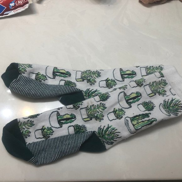 Succulent Socks - Picture 1 of 1